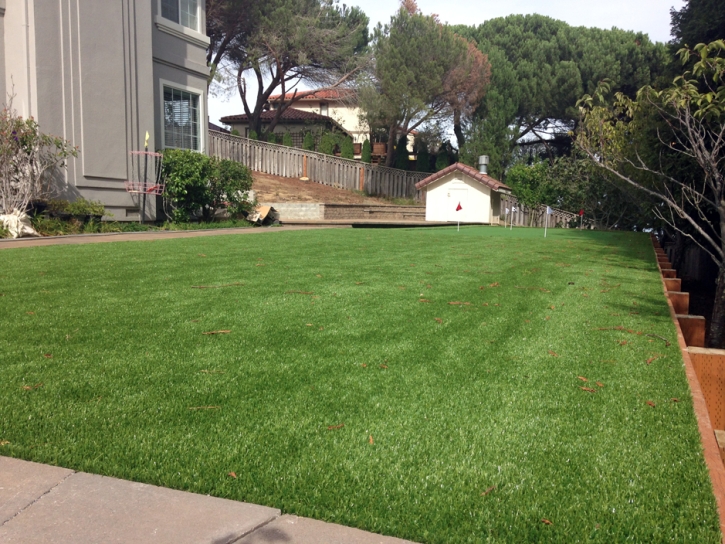 Synthetic Lawn Stanwood, Michigan Artificial Putting Greens, Beautiful Backyards