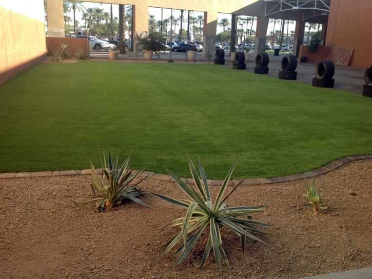 Synthetic Lawn Walker, Michigan Landscaping Business, Commercial Landscape