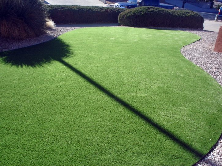 Synthetic Turf Hanover, Michigan Landscaping Business, Front Yard Design