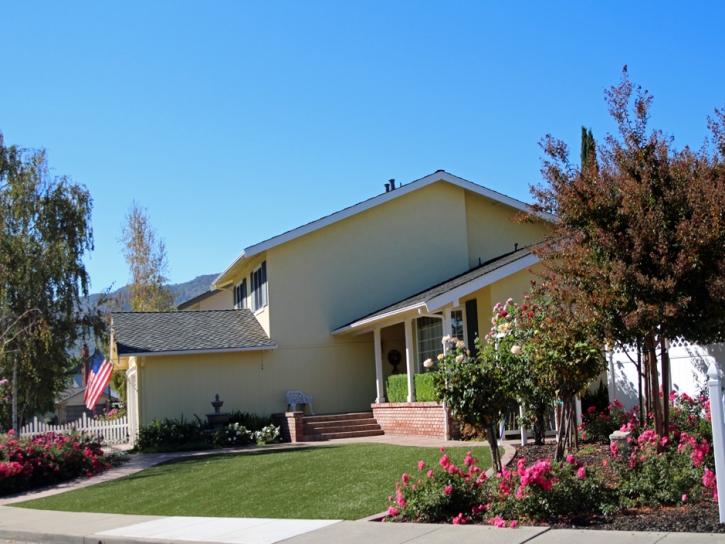 Synthetic Turf Metamora, Michigan Landscaping, Front Yard Landscaping