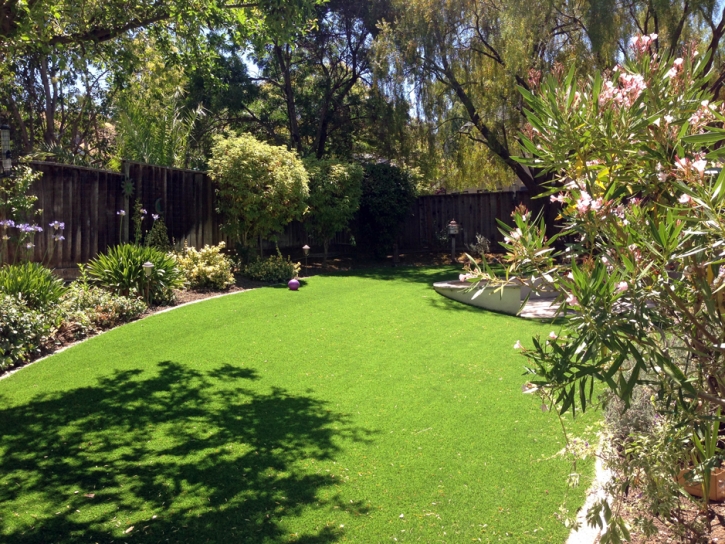 Synthetic Turf South Monroe, Michigan Design Ideas, Backyard Designs