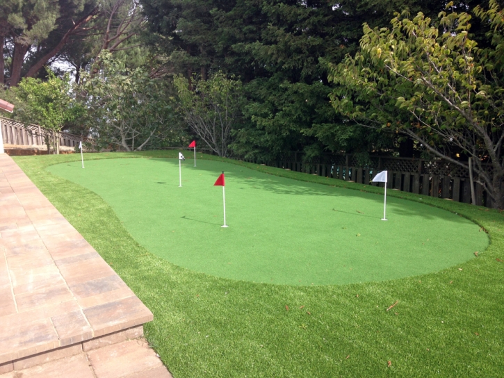 Synthetic Turf Supplier Casnovia, Michigan Putting Green Turf, Backyard