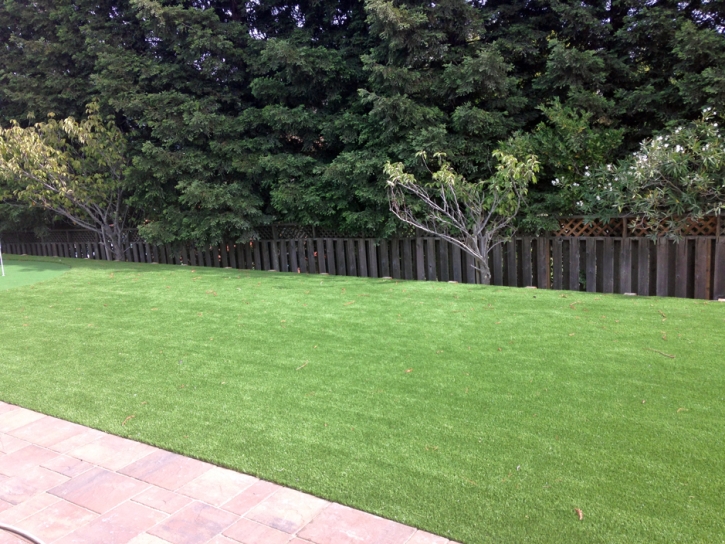 Synthetic Turf Supplier Evart, Michigan Backyard Deck Ideas, Backyards