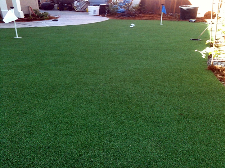 Synthetic Turf Supplier Flat Rock, Michigan Backyard Putting Green, Backyard Ideas