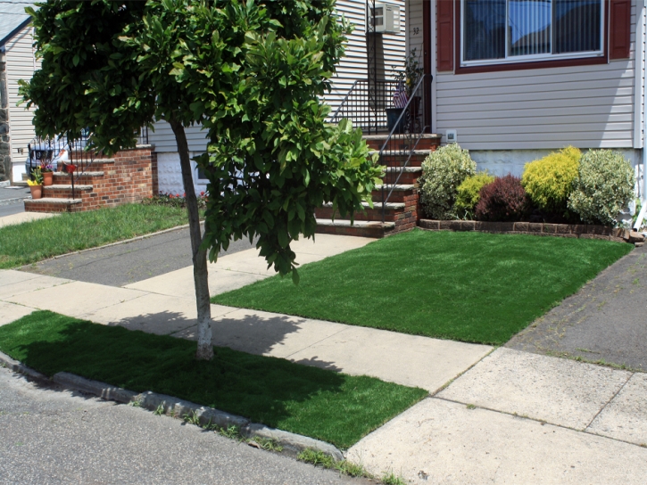 Synthetic Turf Supplier Maple Rapids, Michigan Gardeners, Front Yard Design