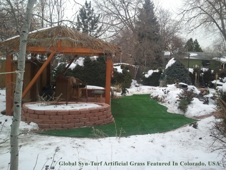 Synthetic Turf Supplier Pleasant Ridge, Michigan Lawn And Garden, Backyard Makeover