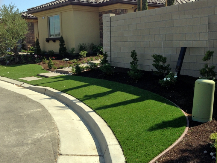 Synthetic Turf Zeeland, Michigan Rooftop, Front Yard Landscaping