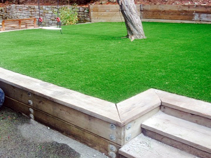 Turf Grass Centreville, Michigan Backyard Playground, Backyard Garden Ideas