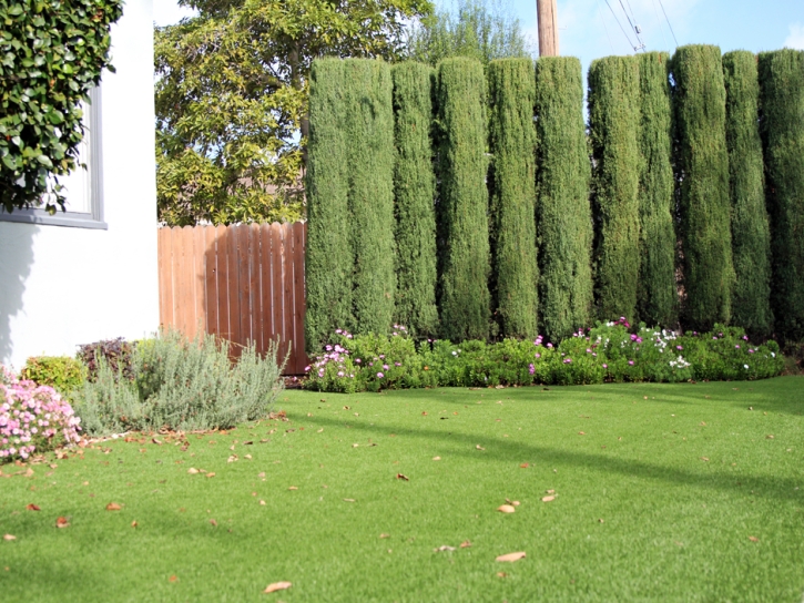 Turf Grass Mount Morris, Michigan Landscape Rock, Front Yard Design