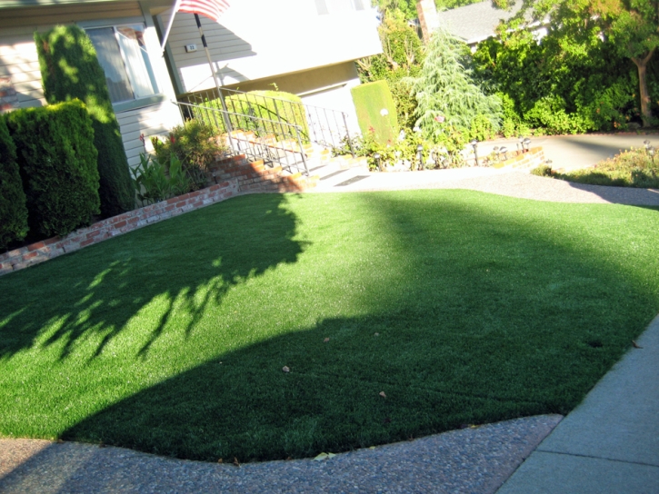 Turf Grass Norton Shores, Michigan Backyard Playground, Front Yard