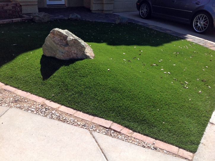 Turf Grass Watervliet, Michigan Home And Garden